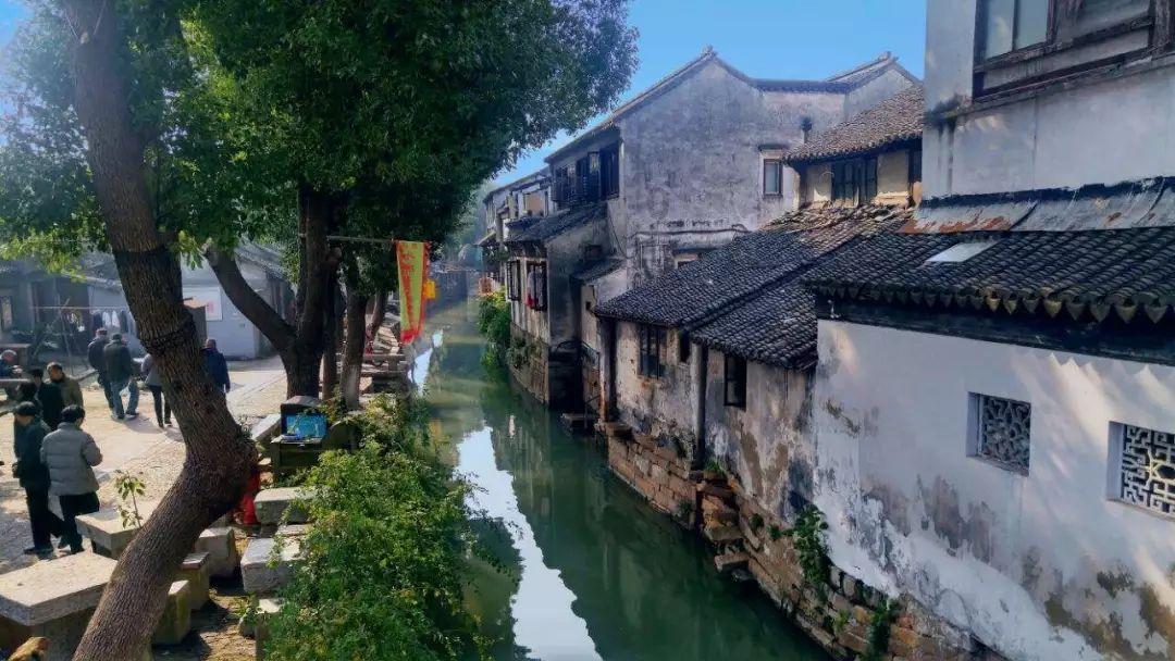 “祥龙贺岁——百人剪百龙”剪纸展在洛阳民俗博物馆举行